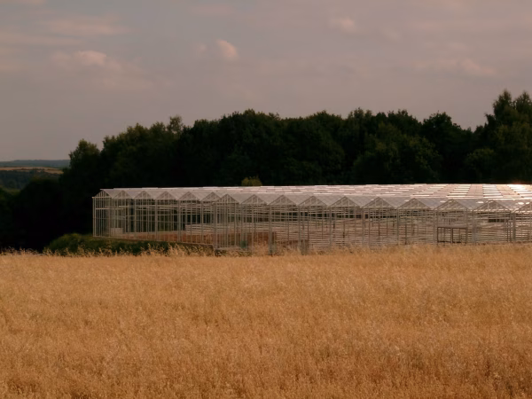 Van Vliet Kassenbouw